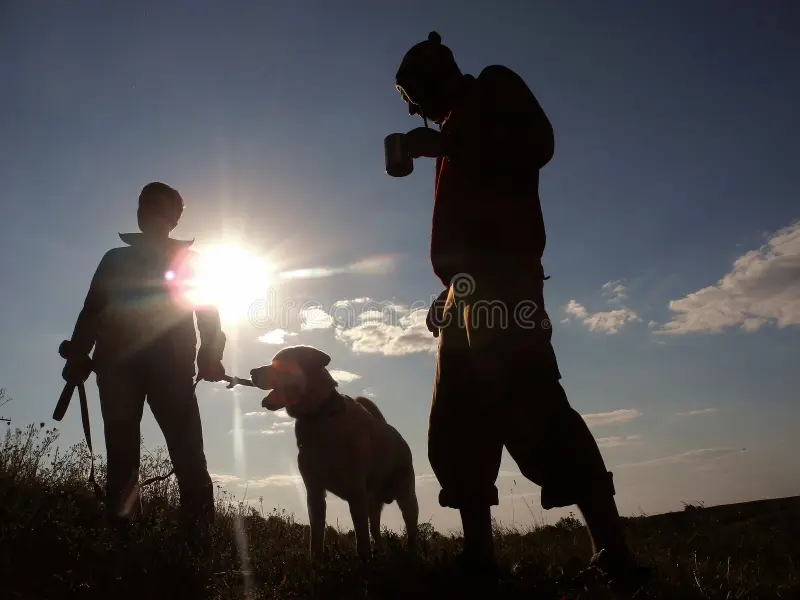 Silhouette of two people and a dog at sunset, warm golden light on the horizon